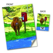 Highland Cow/Postbox Stitched Notebook