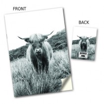 Highland Cow Image Stitched Notebook