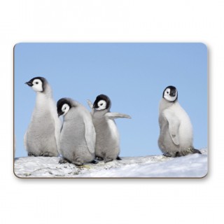 Classic Place Mat Small product image