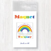 Rainbow Magnet in Bag