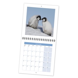 Wiro Fold Open Calendar product image