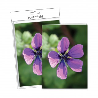 Purple Flower Cards/Envs product image