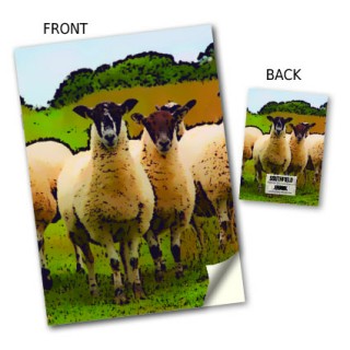 Inquisitve Sheep Stitched Notebooks product image