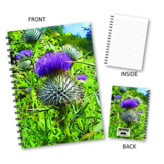 Coloured Thistle Wiro Notebook product image