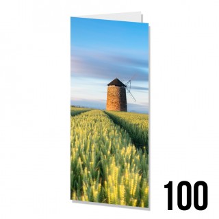 DL Greeting Cards 100 product image