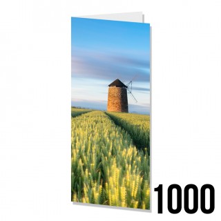 DL Greeting Cards 1000 product image