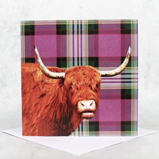 Highland Coo Greeting Card product image