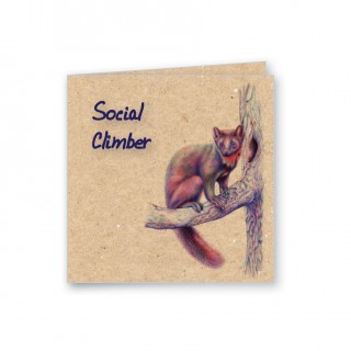Eco Greeting Cards product image