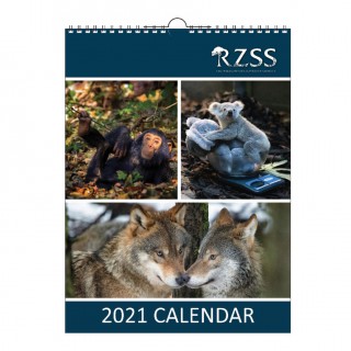 A4 Calendar 13 page product image