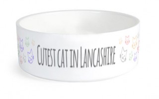 Small Ceramic Dog/Cat Bowl product image